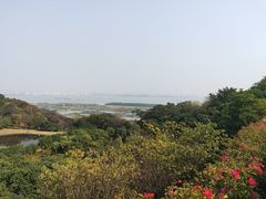 -广州莲花山旅游区