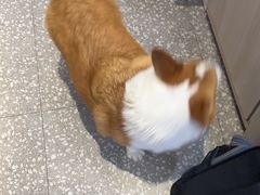 -宠物家(角门东店)