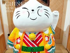 -屋虎猫馆(宝安大仟里店)
