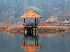 -千岛湖龙川湾
