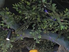 -津沽小院(天津之眼店)