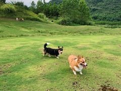 -仙湖旅游度假区