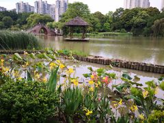 -金山公园