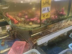 -鑫悦楼煎蟹·16年海鲜大排档
