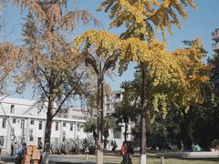 -四川大学(望江校区)