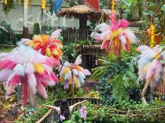 -正佳雨林生态植物园