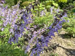 -昆山城市生态森林公园