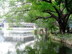 -荔湾湖公园
