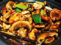 鲍汁生炒鲜菌-额娘·春饼烤鸭(怀特店)