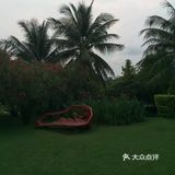🌴【苏梅之美，唯有身临其境】