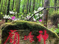 -山王坪喀斯特国家生态公园