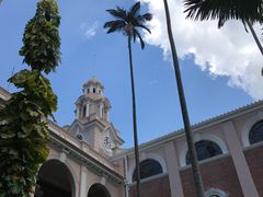 -香港大学