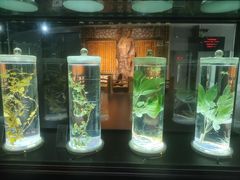 -广东中医药博物馆
