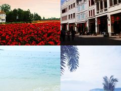 -亚龙湾热带天堂森林公园