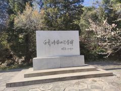 -白水寺森林公园