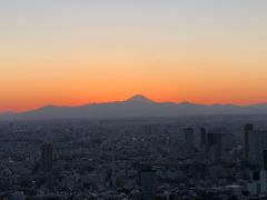 -六本木新城展望台(东京城市景观)