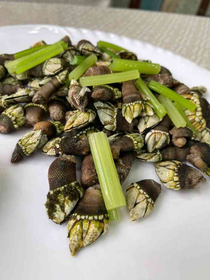 星龙海鲜(望江东路店)-"远方的小伙伴来找我玩,肯定是要带着去吃海.