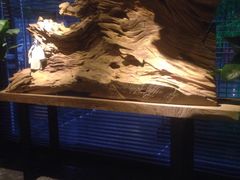 -足本纪·足道 SPA 简餐 小吃(文三西路店)