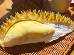 -扬之阿李菌汤火锅(1969店)