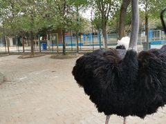 -武汉紫薇都市田园