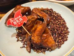 -朱记乳鸽王·非遗石岐乳鸽·全鸽宴(大兴旗舰店)