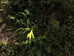 -沂蒙山旅游区云蒙景区(蒙山国家森林公园)