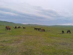 -粘豆包柴火铁锅炖