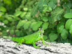 -维兹卡亚博物馆及花园