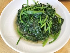 清炒菠菜-海中洲渔社