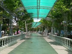 -百万葵园