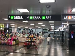 -厦门高崎国际机场-T3航站楼