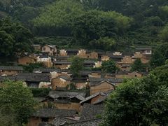 -杨家堂村