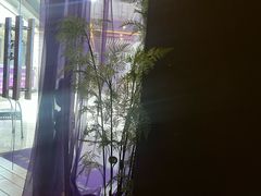 -泰享受·泰式按摩·SPA(海珠琶洲新村店)