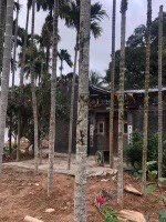 -蔡家宅