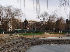 -黄村公园
