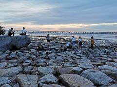 -宝安西湾红树林湿地公园