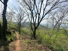 -南京老山国家森林公园