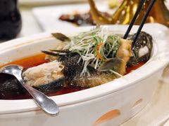鲈鱼-新龙船黄浦江餐饮游船官方自营店