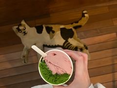 -FIDEE CHOCOLATE 花地