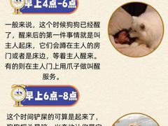 -爱侣宠医·鹦鹉专科·小型哺乳类·异宠专科(灵石路店)