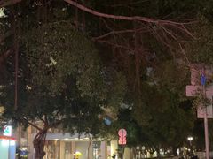 -广州白天鹅宾馆