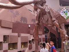 -陕西自然博物馆