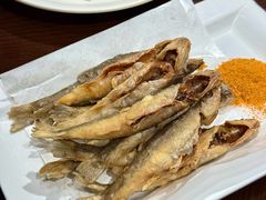 -小海丁
