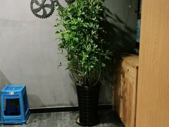 -鸽子窝(宋庄店)