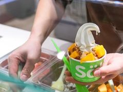 -Salud撒露欧洲冻酸奶(蓝色港湾店)