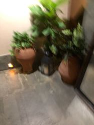 -禾颜社·精致美容