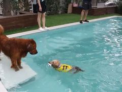 -老外街