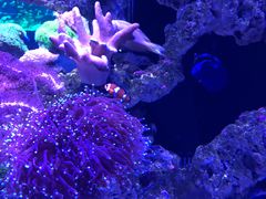 -zoonana室内动物园(东方福来德店)