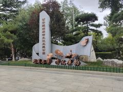 -莲湖公园