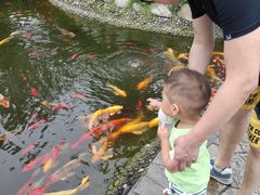 -成飞公园